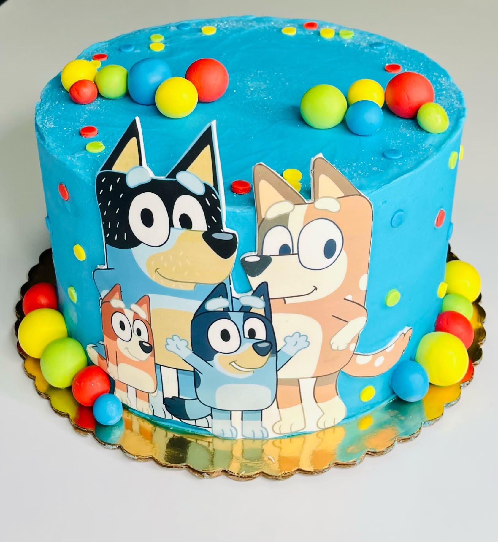 Bluey Cartoon House Birthday Party