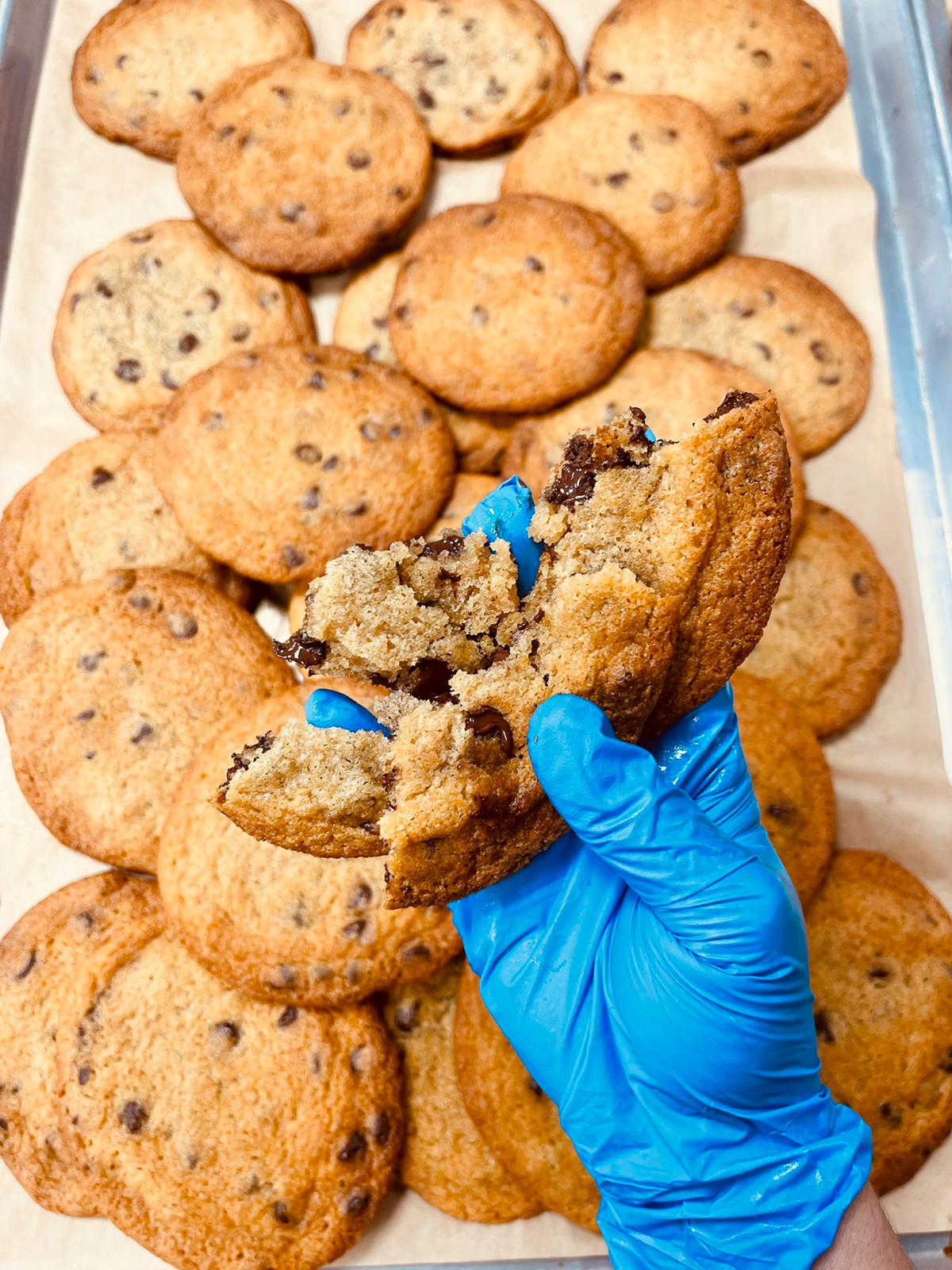 Mini Chocolate Chip Cookie Jar – Cat's Cookies