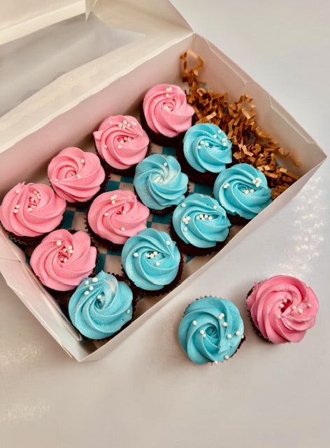 Gender Reveal Mini Cupcake Box (Half Blue, Half Pink)