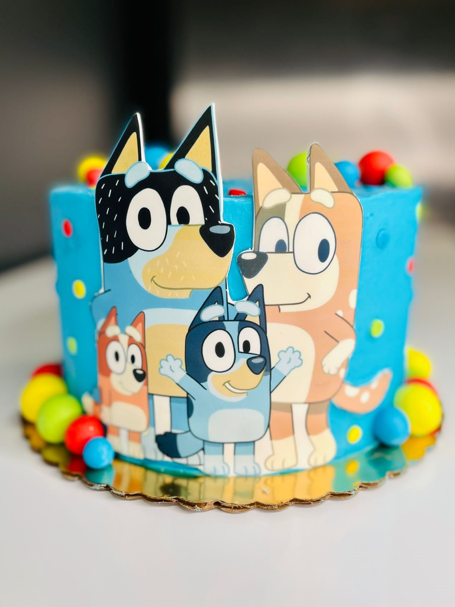 How cool is our custom Bluey, Heeler's & Friends cake : r/bluey